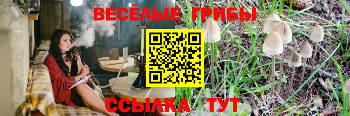 Псилоцибиновые грибы мухоморы Видное